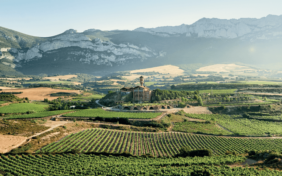 A picture of the Eguren Ugarte vineyards in Rioja Alavesa