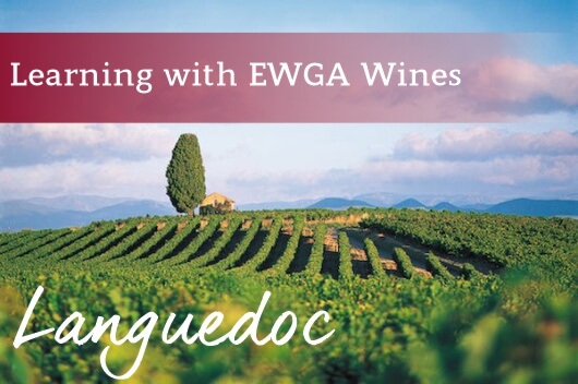 Learning Languedoc Wine Region with EWGA Wines