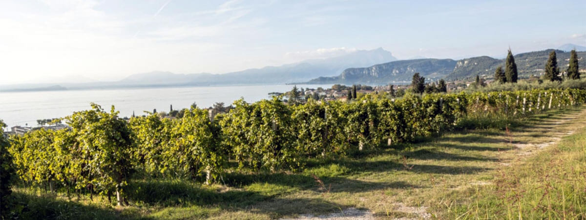 Cantina del Garda - Lake Garda Views