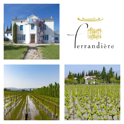 Domaine Ferrandiere 100