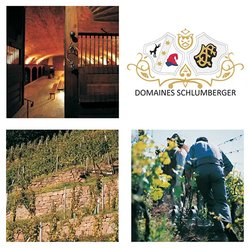 domaines schlumberger