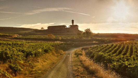 Learning with EWGA Wines Rioja Wine Region