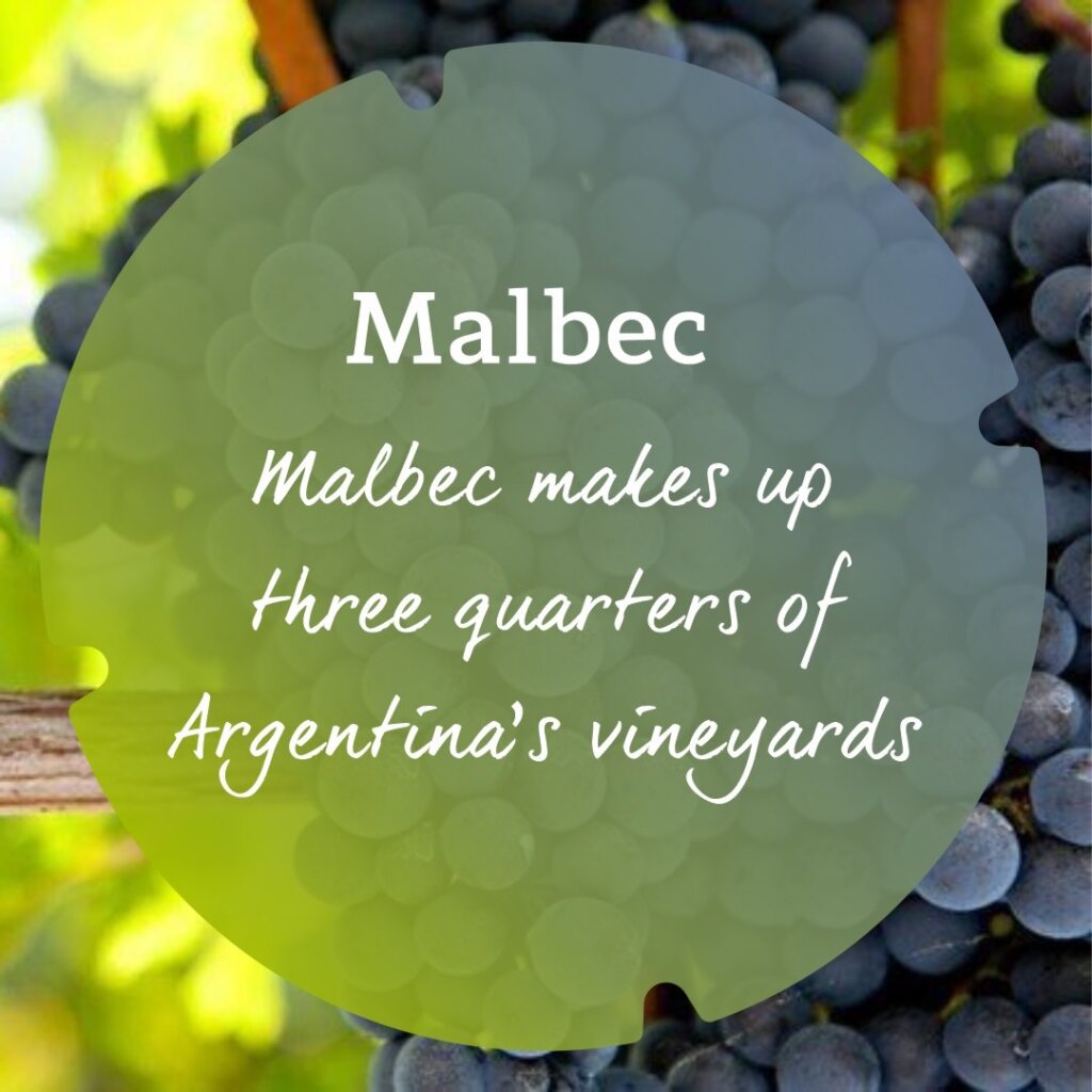 Malbec Planting Fact