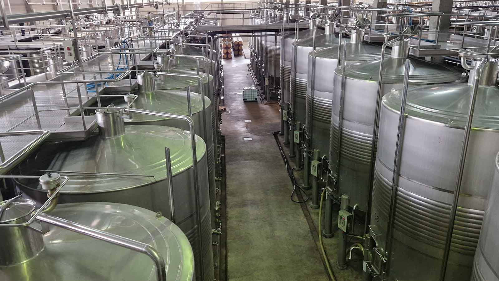 Modern Stainless Steel Fermentation Tanks